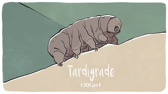 supposed to be bigger